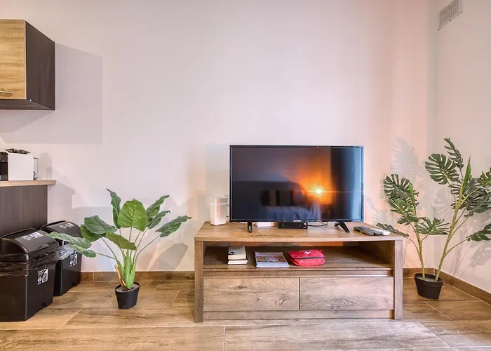 Modern And Centrally Located Large One Bedroom Kbon1-1 Apartment